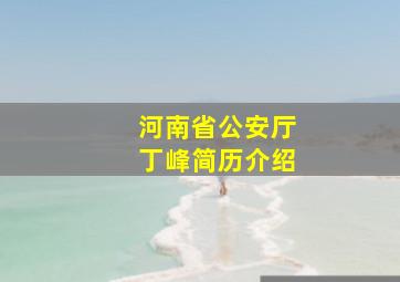 河南省公安厅丁峰简历介绍