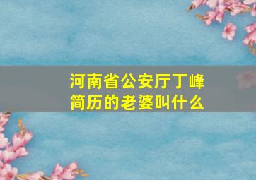 河南省公安厅丁峰简历的老婆叫什么