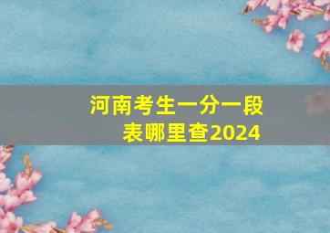 河南考生一分一段表哪里查2024