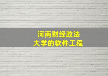 河南财经政法大学的软件工程