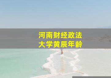 河南财经政法大学黄辰年龄