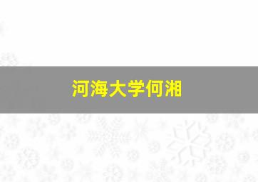 河海大学何湘