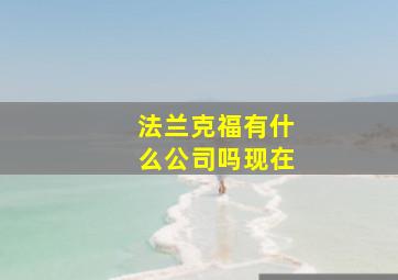 法兰克福有什么公司吗现在