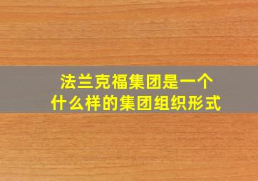 法兰克福集团是一个什么样的集团组织形式