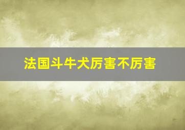 法国斗牛犬厉害不厉害