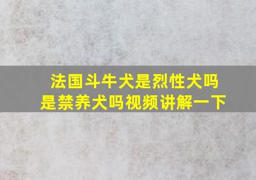 法国斗牛犬是烈性犬吗是禁养犬吗视频讲解一下