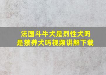 法国斗牛犬是烈性犬吗是禁养犬吗视频讲解下载