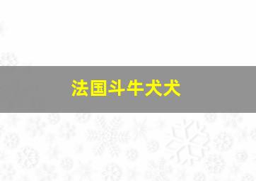 法国斗牛犬犬