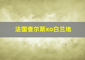 法国查尔斯xo白兰地