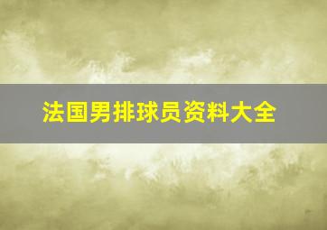 法国男排球员资料大全