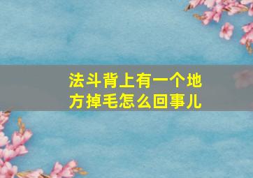 法斗背上有一个地方掉毛怎么回事儿