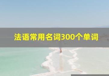 法语常用名词300个单词