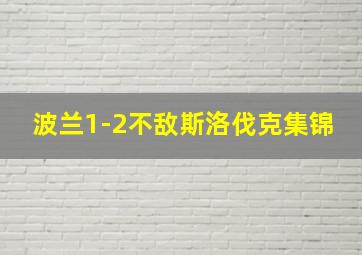 波兰1-2不敌斯洛伐克集锦