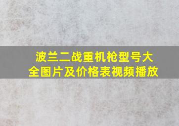 波兰二战重机枪型号大全图片及价格表视频播放