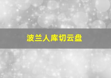 波兰人库切云盘