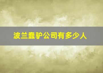 波兰蠢驴公司有多少人