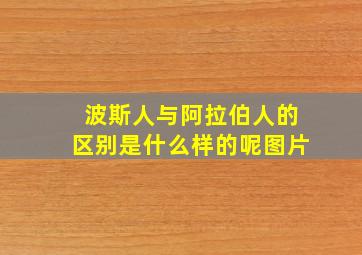 波斯人与阿拉伯人的区别是什么样的呢图片