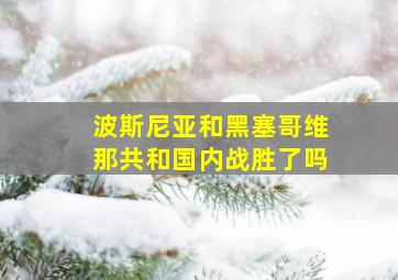 波斯尼亚和黑塞哥维那共和国内战胜了吗