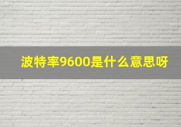 波特率9600是什么意思呀