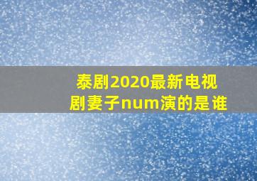 泰剧2020最新电视剧妻子num演的是谁