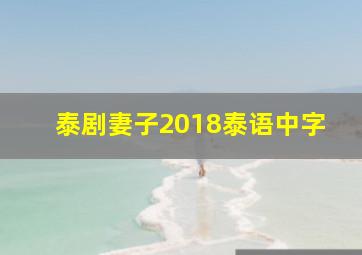 泰剧妻子2018泰语中字