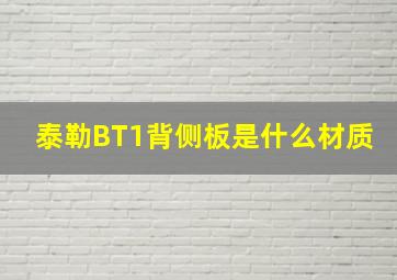 泰勒BT1背侧板是什么材质