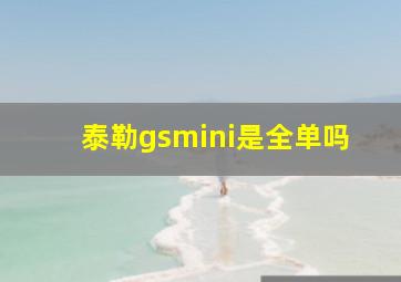 泰勒gsmini是全单吗