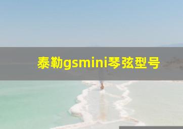 泰勒gsmini琴弦型号