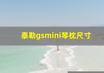 泰勒gsmini琴枕尺寸