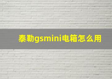 泰勒gsmini电箱怎么用