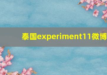 泰国experiment11微博