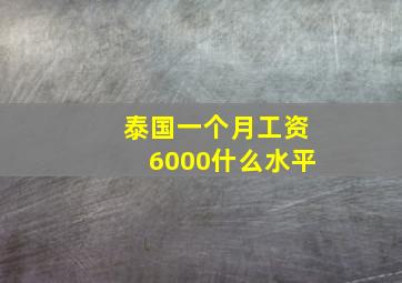 泰国一个月工资6000什么水平