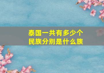 泰国一共有多少个民族分别是什么族