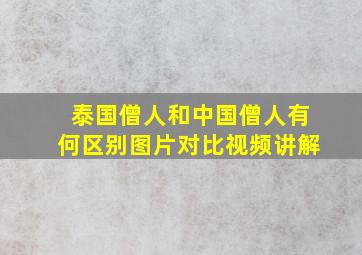 泰国僧人和中国僧人有何区别图片对比视频讲解