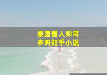 泰国僧人帅哥多吗知乎小说