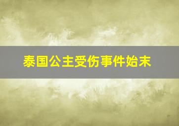 泰国公主受伤事件始末