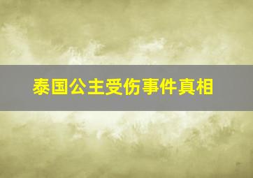 泰国公主受伤事件真相