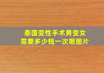 泰国变性手术男变女需要多少钱一次呢图片