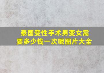 泰国变性手术男变女需要多少钱一次呢图片大全