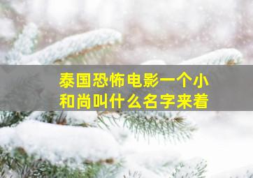 泰国恐怖电影一个小和尚叫什么名字来着