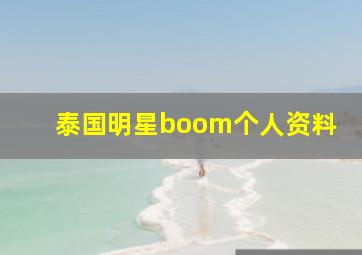 泰国明星boom个人资料