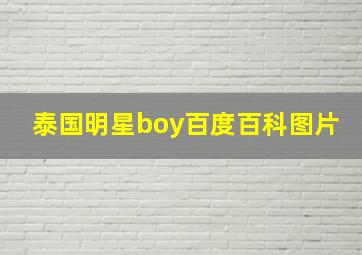 泰国明星boy百度百科图片