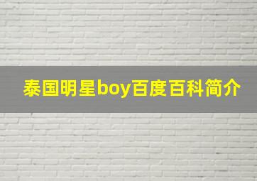 泰国明星boy百度百科简介