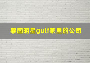 泰国明星gulf家里的公司