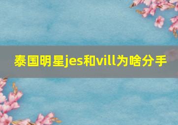 泰国明星jes和vill为啥分手