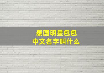 泰国明星包包中文名字叫什么