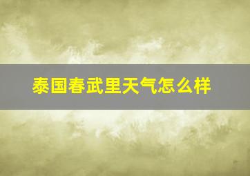 泰国春武里天气怎么样