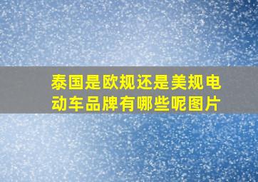 泰国是欧规还是美规电动车品牌有哪些呢图片