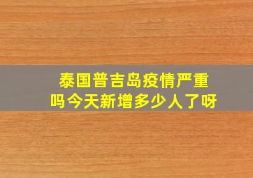 泰国普吉岛疫情严重吗今天新增多少人了呀