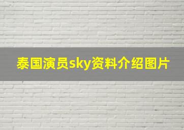 泰国演员sky资料介绍图片